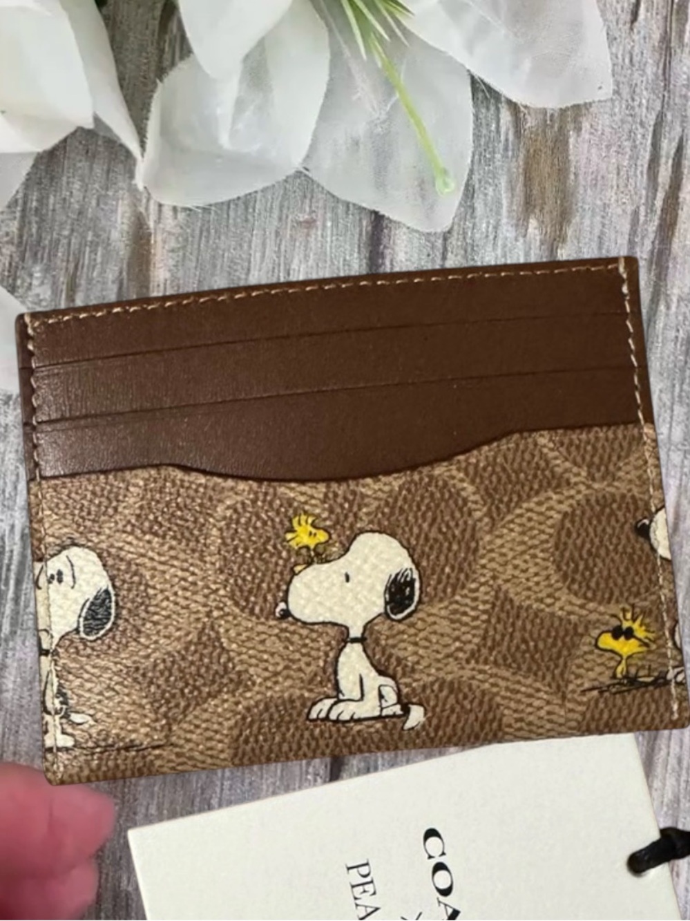 Coach X Peanuts Slim Id Card Case In Signature Canvas With Snoopy Print Wallet - Picture 6 of 6